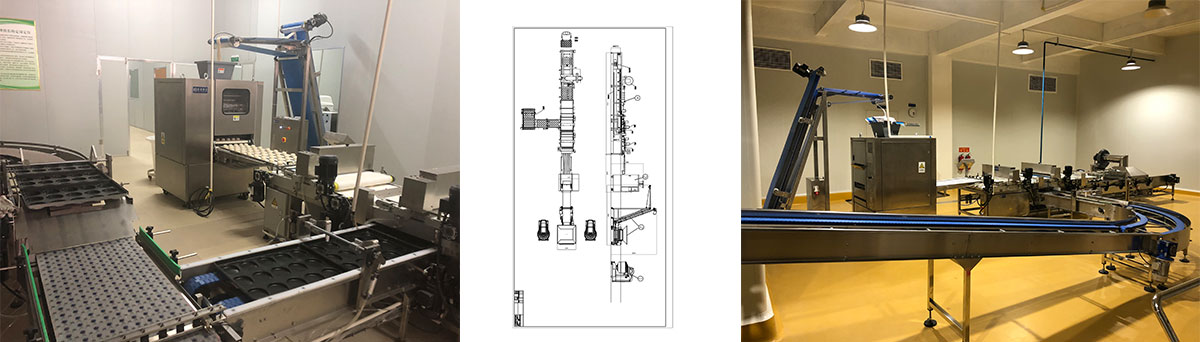 Hamburger production line QLLE-H6