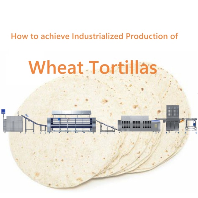 Dough divider rounder,frozen tortilla, mexican tortilla, tortilla press